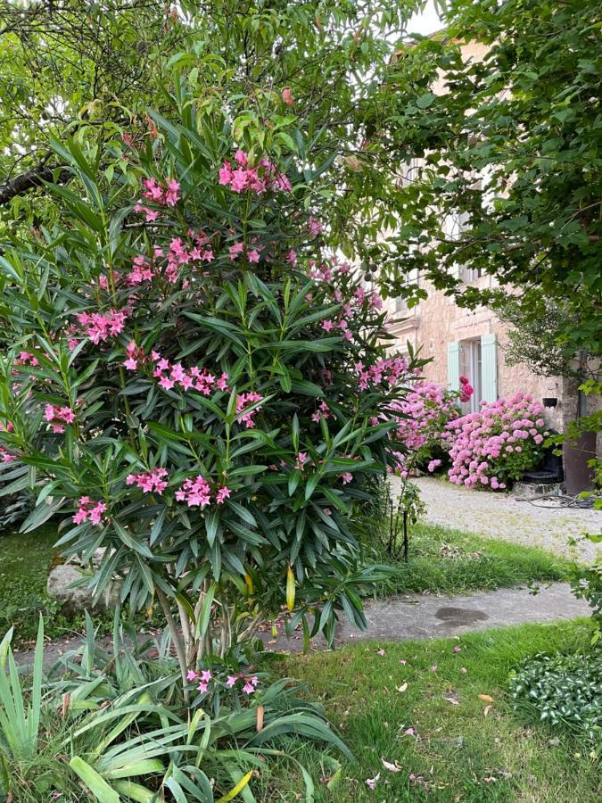 La Maison D'Hortense Et Lili Allemans Esterno foto